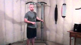 Bowflex Bodytower Pull UpMP4 [upl. by Eldwon]