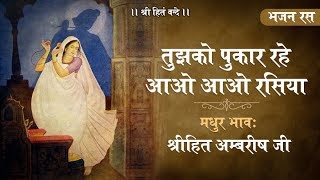 तुझको पुकार रहे आओ आओ रसिया  श्री कृष्ण भजन  श्रीहित अम्बरीष जी  Meera Bai Bhajan [upl. by Yerfoeg]