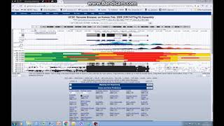 How to visualise chromatin and epigenetic data on the UCSC genome browser tutorial 4 [upl. by Adnilem830]