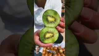 fruit naturallifeb satisfying naturalclips fruitcutting naturelife food jackfruit plants [upl. by Armanda]