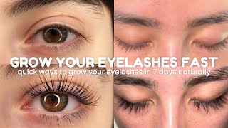 how to grow your eyelashes FAST amp NATURALLY in just 7 Days 🧸🎀 [upl. by Emor]