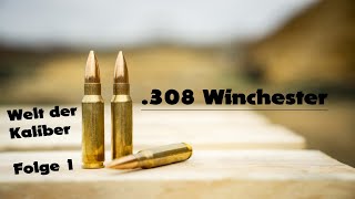 308 Winchester  Welt der Kaliber  Folge 1 [upl. by Aissatan]