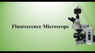 Fluorescence microscope [upl. by Kronick]