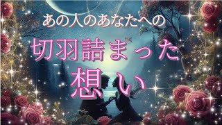 【◯さんのお相手様何者…🧐】あの人のあなたへの切羽詰まった想い😳💗 [upl. by Adnhoj]