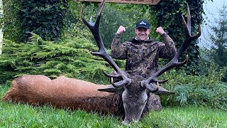 Hjortejagt i Polen  Redstag Hunting in Poland  Hirschjagd in Polen 4K [upl. by Bible41]