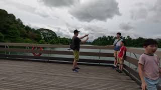 Singapore Macritchie Reservoir Walk [upl. by Farr48]