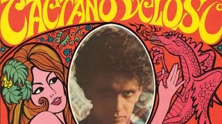 Análise da letra quotTropicáliaquot de Caetano Veloso [upl. by Teador]