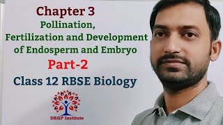 Class 12 Chapter 3 Pollination Fertilization and Development of Endosperm and Embryo RBSE Part2 [upl. by Krasnoff]