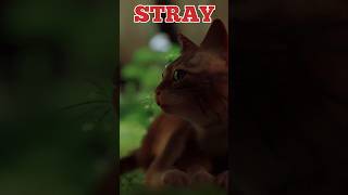 Is STRAY The Most Epic CAT Action Adventure EVER [upl. by Mich501]