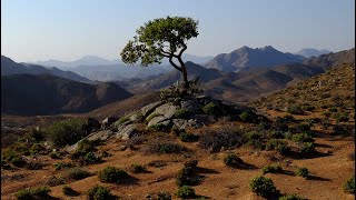 Richtersveld National Park and World Heritage Site [upl. by Woolcott7]