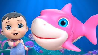 Baby Shark Doo Doo Doo  Kids Music amp Fun Nursery Rhyme for Kids [upl. by Brandon368]