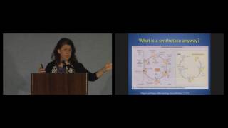 Antisynthetase Syndrome  Dr Lisa ChristopherStine TMA conference [upl. by Imer]