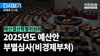 국회방송 생중계 예산결산특별위원회  2025년도 예산안 부별심사비경제부처 1부 241113 [upl. by Attecnoc695]