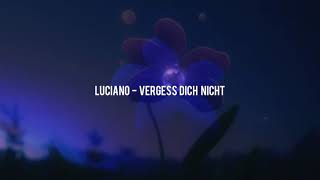 LUCIANO  VERGESS DICH NICHT slowed [upl. by Eiknarf537]