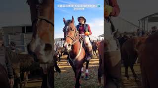 Horses market equestrain shorts horse asmr [upl. by Ziladnerb425]