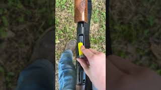 Winchester SXP 20 gauge [upl. by Gottwald]