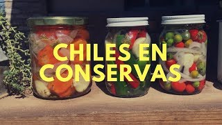 Como hacer conservas de Chiles En ESCABECHE 2023 Chiles En Conservaaji en vinagre [upl. by Vallie]