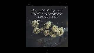 Urdu aqwal e zareen 🌹 Life important quotes 162 shorts [upl. by Selig243]