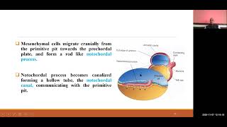 BDS I 404 I ORTHODONTICS I Growth and development of craniofacial region Embryology I DR R P MAURYA [upl. by Neeka350]