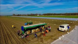 Prei planten  Planting leek  Lauch pflanzen  Planter des poireaux  John Deere  Zomerprei [upl. by Nedarb]