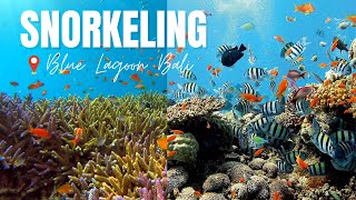 Snorkeling Blue Lagoon Bali  Unveiling the Hidden Wonders of Padang Bai Bali 2023 [upl. by Sicular783]