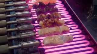 Smokeless Auto Yakitori Grill from HigoGriller Japan [upl. by Celeski]