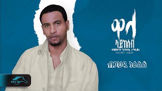 Temesgen Gebreselassie  Taniqo  Bgahdi Neelil  ብጋህዲ ንዕልል  Eritrean Music   Official Audio [upl. by Osithe]