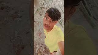 Hara Tora re gati  New Santali Full short video song Stephan tudu vairal short video 📷📷 Comedi [upl. by Werdnaed174]