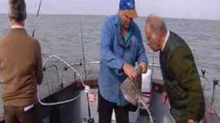 The Compleat Angler Sea Fishing [upl. by Nonad]