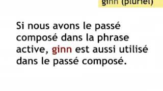 Le Passif Leçon de luxembourgeois [upl. by Namurt]