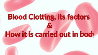 Blood Clotting Factors  Process and Mechanism  Fibrinogen  Thrombin  Factor 12 [upl. by Ridley]