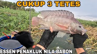 ESSEN JITU UNTUK MANCING NILA BESAR2 [upl. by Bennir683]