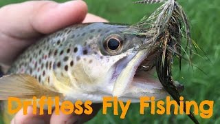 Fly Fishing Viroqua Wisconsin [upl. by Farland955]