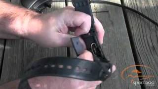 TEK 10  How to Add an ECollar to Your Tek Series GPS Collar  US [upl. by Nyleahcim352]