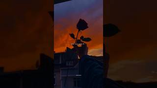 Baaton Ko Teri ❤️‍🩹🥀  Aesthetic Video 🦋  Lyrics  trending shortsviral [upl. by Neffets]