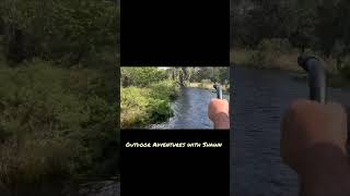 Airboat ride through the North Cove Hammock Lake Kissimmee [upl. by Ardnos969]