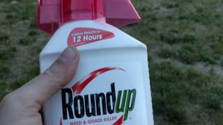 How to Spray Weed Killer on Lawn Two Different Methods [upl. by Otina]