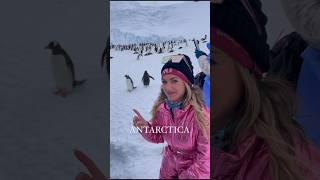 Most Expensive amp Luxury Cruise in the World Antarctica Cruise cruise antarctica amazing viral [upl. by Anaeg]