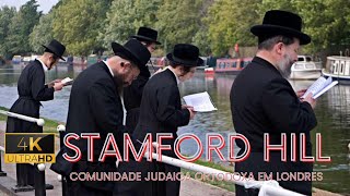 STAMFORD HILL  LONDON 4K [upl. by Atirehs202]