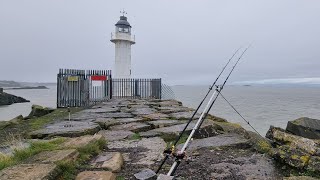 Fishing white light   Big cod fishing mark  South Wales fishing  Fishing Bristol Channel 🏴󠁧󠁢󠁷󠁬󠁳󠁿 [upl. by Burlie142]