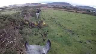 Donegal Harriers Falcarragh Hunt [upl. by Gut]