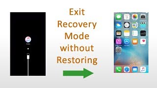 Get out of Recovery Mode without Restoring  ReiBoot [upl. by Corene]