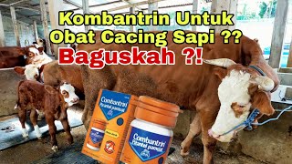 COMBANTRIN SYRUP UNTUK SAPI BAGUSKAH [upl. by Sugirdor]