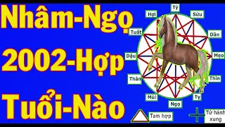 Tuổi Nhâm Ngọ Sinh Năm 2002 Hợp Với Tuổi Nào Trong Làm ăn Và Hôn Nhân [upl. by Hallette]