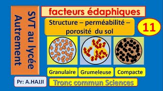 Propriétés du sol structure  acidité  perméabilité  porosité [upl. by Initirb957]