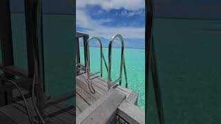 WATER Bungalow Your overwater villa in maldives lemeridien [upl. by Hyacinthia]