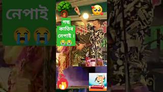 গছ কাটিব নোৱাৰি 😭😩❤️❤️😩😭 Zubeen Garg [upl. by Efar]