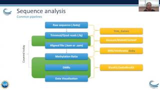 Webinar Epigenetics Part I – Bisulfite Sequence Analysis and Adenosine to Inosine Modifications [upl. by Yliah813]