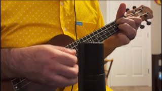 Miley Cyrus  FLOWERS  UkuleleGuitar Steel Guitar cover [upl. by Dekeles]