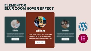 Free Elementor ZOOM amp BLUR Hover Effect  Free Elementor Tricks  WordPress Elementor Tutorial 2023 [upl. by Annazor]